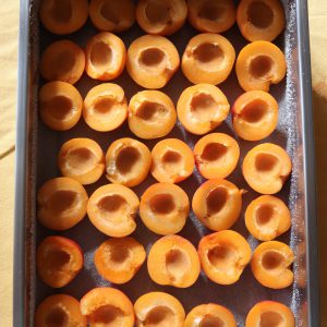 apricots in form