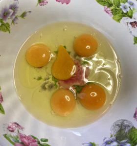 Eier für Béchamel-Sauce